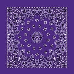 NT446 Bandana Paisley Purple
