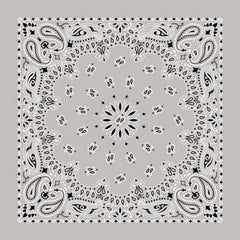 BD252 Bandana Paisley Silver